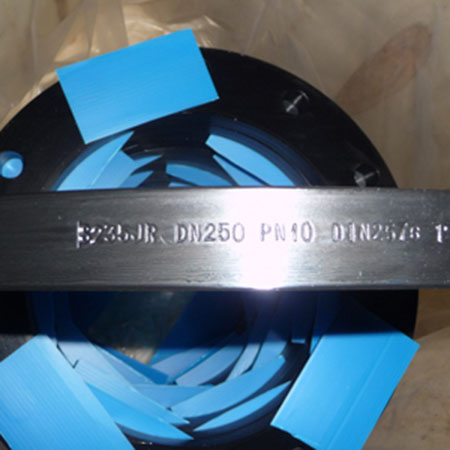 DIN2576 Carbon Steel S235JR Plate Flange DN250, PN10 PL RF Flange
