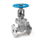 Stainless Steel Flanged Gate Valve