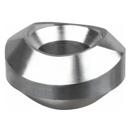 Stainless Steel Weldolet