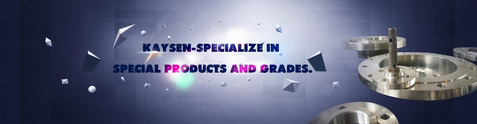 China Stainless Steel Forged Flanges manufacturer