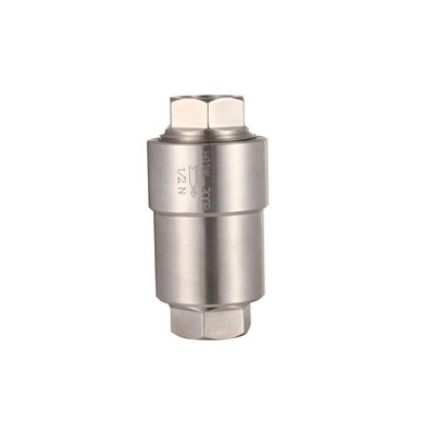Stainless Steel Check Valve
