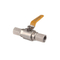 Stainless Steel Pressure Gauge Ball Valve