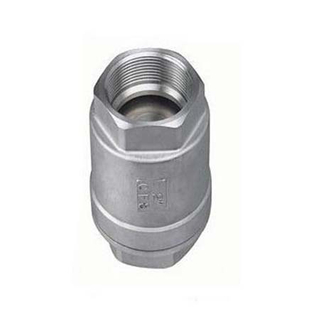 1PC Spring Vertical Check Valve 